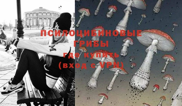 бошки Александровское