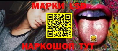 Альфа ПВП Камышлов
