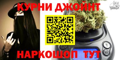 Альфа ПВП Камышлов