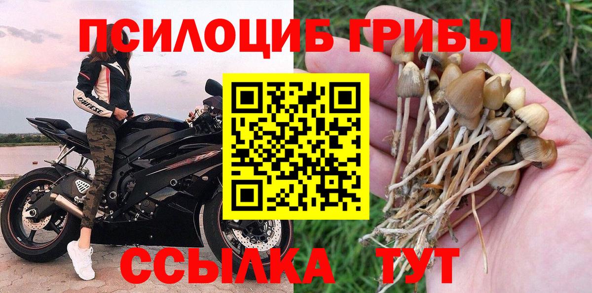 Псилоцибиновые грибы MAGIC MUSHROOMS  Вход с VPN  купить наркотики сайты  Сызрань 