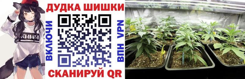 где можно купить наркотик  Сызрань  дарк нет формула  Канабис семена 